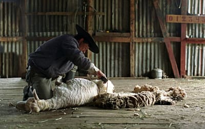 Patagonia Family Adventure: Gaucho Life and Glacier Magic - 15