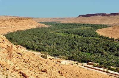 Morocco Family Adventure: From Casablanca to the Sahara - 23