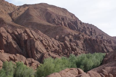 Morocco Family Adventure: From Casablanca to the Sahara - 15