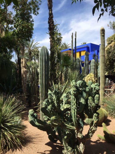 Morocco Family Adventure: From Casablanca to the Sahara - 6