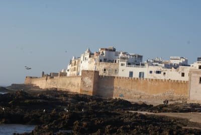 Morocco Family Adventure: From Casablanca to the Sahara - 4