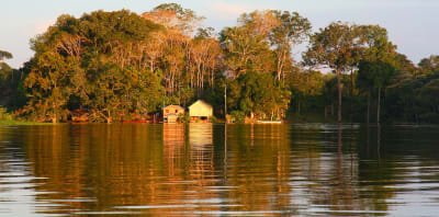 Aventura en la selva amazónica de Manaus, 4 días y 3 noches - 5