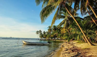 Experiencia económica en la isla Yanis de San Blas 4D/3N - 34