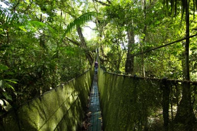 Puerto Maldonado Amazon Eco-Lodge 5D/4N (desde Cuzco) - 19