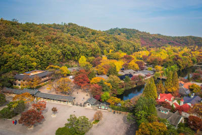 Korean World Heritage Adventure 11D/10N - 46
