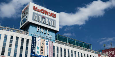 Hakone Discovery, Gateway to Mt. Fuji 3D/2N - 37