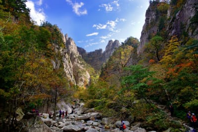 South Korea Highlights 7D/6N - 8