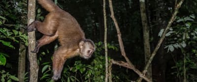 Puerto Maldonado Amazon Budget Eco-Lodge 4D/3N - 3