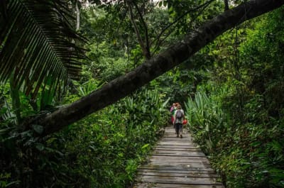 Puerto Maldonado Amazon Budget Eco-Lodge 4D/3N - 17
