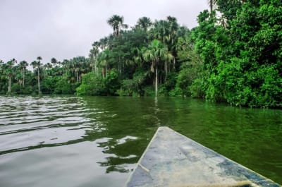 Puerto Maldonado Amazon Budget Eco-Lodge 4D/3N - 18