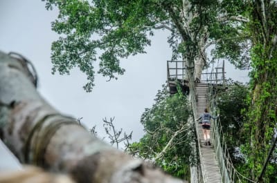 Puerto Maldonado Amazon Budget Eco-Lodge 4D/3N - 24