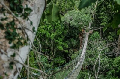 Puerto Maldonado Amazon Budget Eco-Lodge 4D/3N - 23