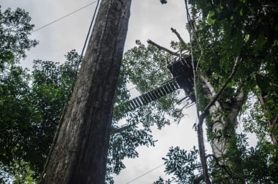 Puerto Maldonado Amazon Budget Eco-Lodge 4D/3N - 22