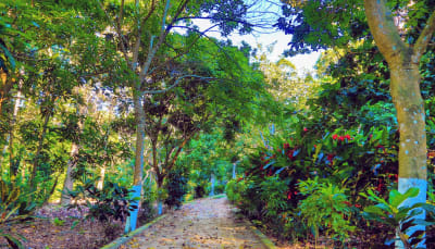Experiencia Natural Tayrona 3D/2N - 16