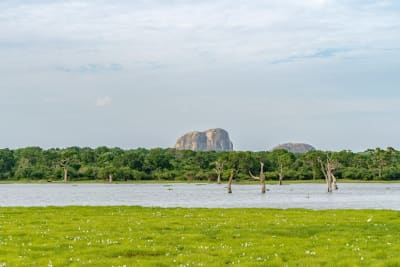Full Sri Lanka Adventure 14D/13N - 28