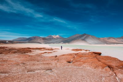 Uyuni Salt Flats & Desert Adventure 4D/3N (La Paz to Atacama) - 26