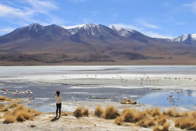 Uyuni Salt Flats & Desert Adventure 5D/4N (La Paz to La Paz) - 18