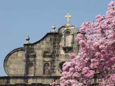 Panamá City Express 5D/4N - 23