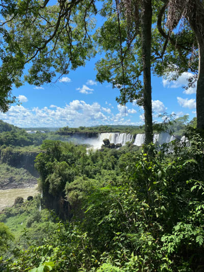 Aventura Pantanal, Bonito e Iguazú 9D/8N (desde Campo Grande) - 26