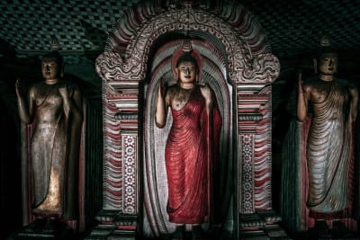 Highlights of Sri Lanka 7D/6N - 25