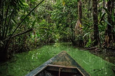 Puerto Maldonado Amazon Budget Eco-Lodge 3D/2N - 13