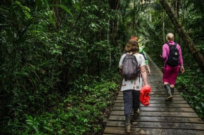 Puerto Maldonado Amazon Budget Eco-Lodge 3D/2N - 17