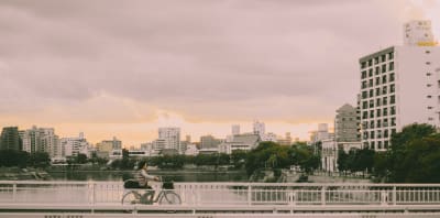 Spirit of Japan 14D/13N - 60
