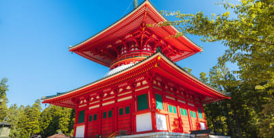 Spirit of Japan 14D/13N - 31