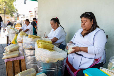 Sabores y tradiciones de Xochimilco - 4