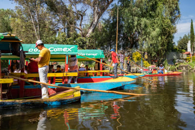 Sabores y tradiciones de Xochimilco - 11