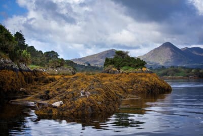 Ireland: Dublin, Galway and the Wild Atlantic Coast - 2