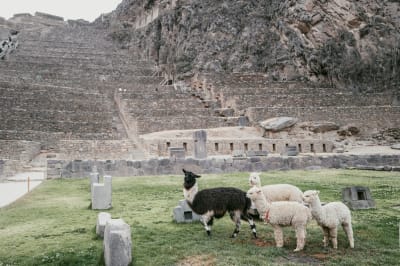 Escapada de al Valle Sagrado: Descubrimiento y Alojamiento. 3 días - 19