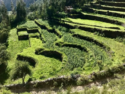 Escapada al Valle Sagrado y Machu Picchu (4 días/3 noches) 4 días - 8