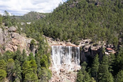 Tren del Cañón del Cobre y Sierra Tarahumara 5 días - 10