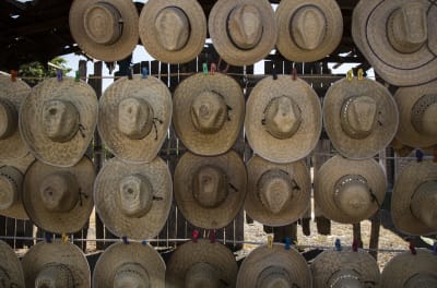 Tren del Cañón del Cobre y Sierra Tarahumara 5 días - 12