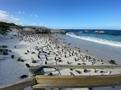 Garden Route & Wine Adventure 7D/6N - 46