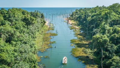 Argentina: Iguassu Falls & Ibera Wetlands Adventure - 2