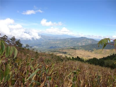Caminata por Acatenango 2D/1N - 3