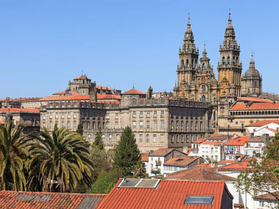Camino de Santiago Walking Experience 7D/6N (from Sarria) - 7