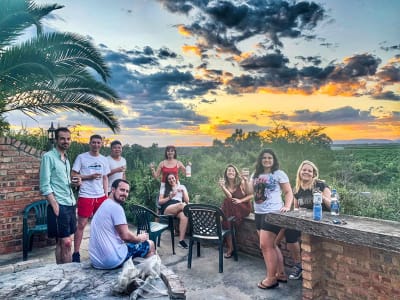 Cape Town, Garden Route & Addo Adventure 10D/9N - 4