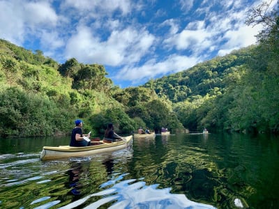 Cape Town, Garden Route & Addo Adventure 10D/9N - 7