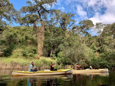 Cape Town, Garden Route & Addo Adventure 10D/9N - 8