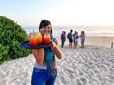 Cape Town, Garden Route & Addo Adventure 10D/9N - 18
