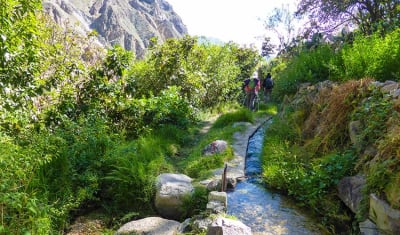 Trekking al Cañón del Colca 2D/1N - 11