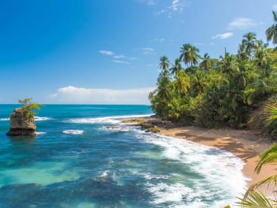 Explorador de la naturaleza de Costa Rica 8 días y 7 noches - 11