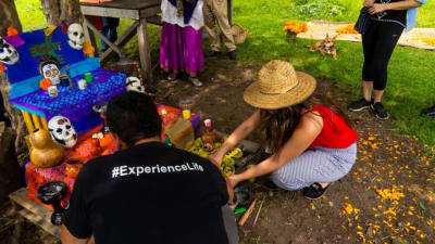 Experiencia del Día de Muertos 5D/4N (desde Ciudad de México) - 9