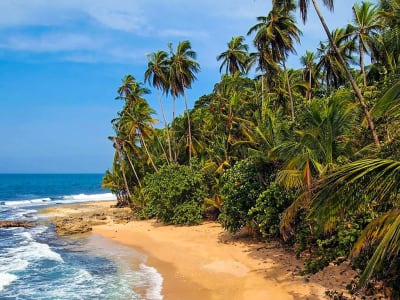 Explorador completo de Costa Rica 14 días y 13 noches - 12