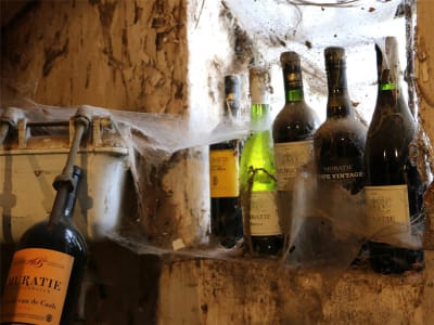Garden Route & Wine Adventure 7D/6N - 3