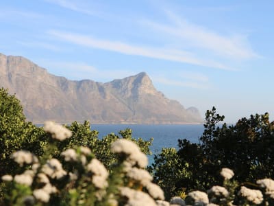 Garden Route & Wine Adventure 7D/6N - 9