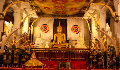 Highlights of Sri Lanka 7D/6N - 4